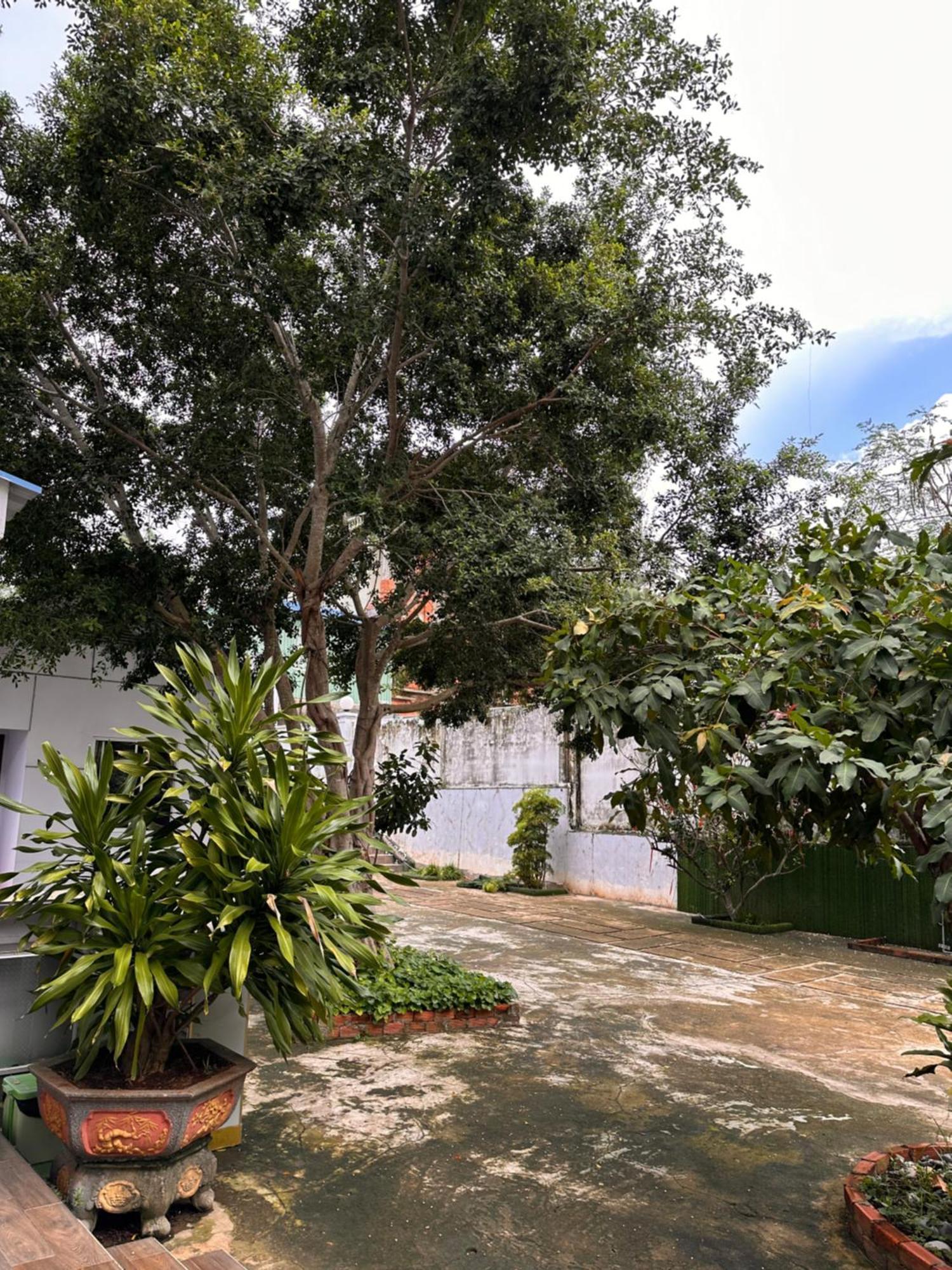 Bungalow Hotel Chi Khu Co Ong Exterior foto