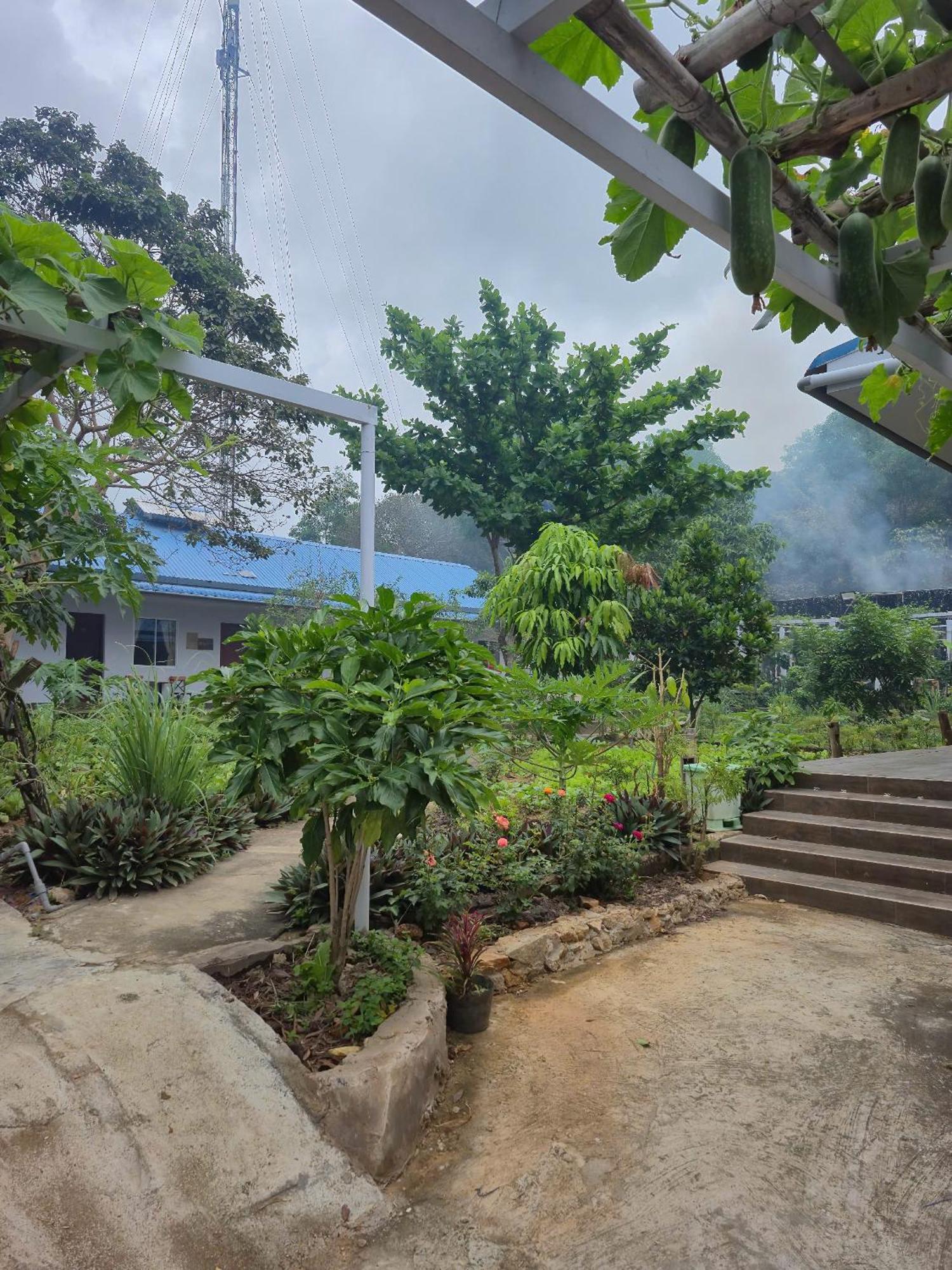 Bungalow Hotel Chi Khu Co Ong Exterior foto